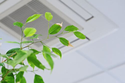Indoor Air Quality (IAQ) with Dust Free, Tjernlund and ADP